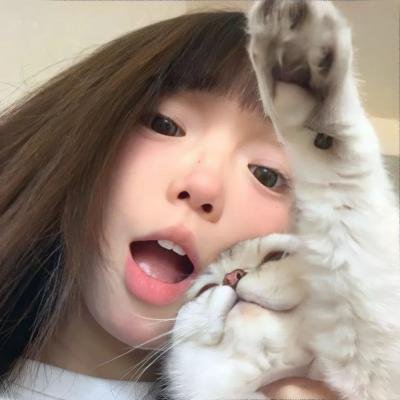 鸭子的天空