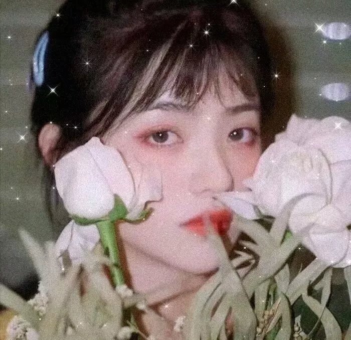 黑海寻爱记