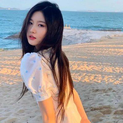 树袋熊